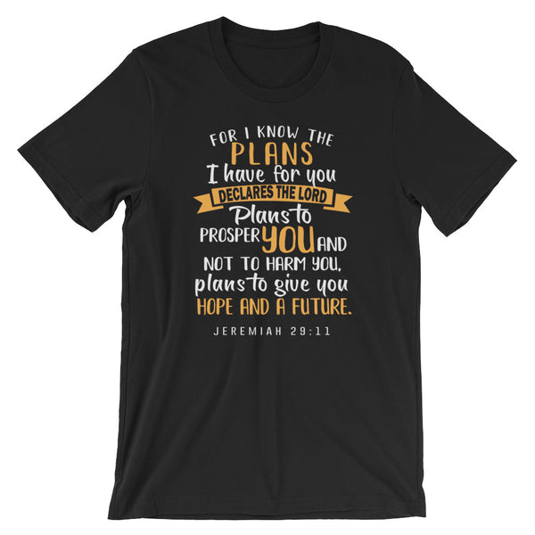 Christian Bible Verse Shirt, I know the Plans I Have For You, Christian Verse Tee, Graphic Art Tee, Jeremiah 29 11 Shirt